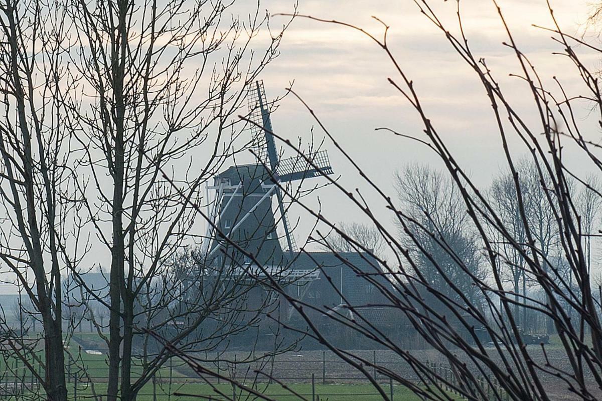 B&B Lauwersstate Paesens Exterior foto